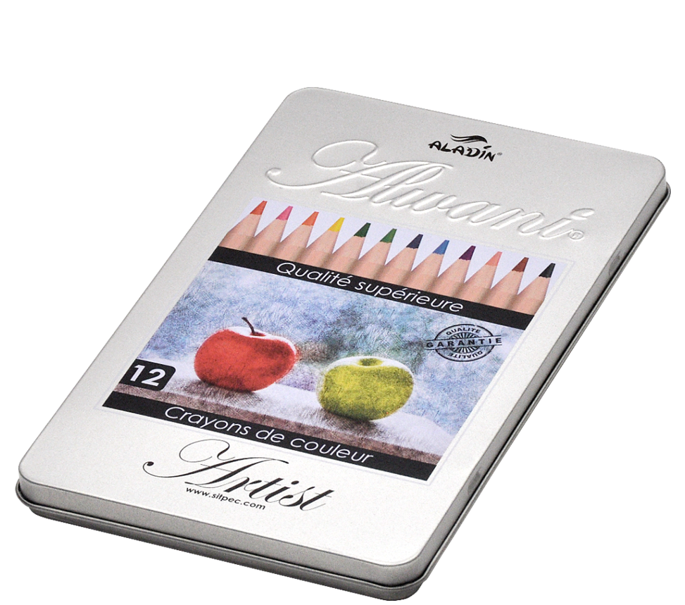 Boîte métal 12 crayons couleur - Activités & Loisirs Créatifs pour  Personnes Âgées & Handicapées